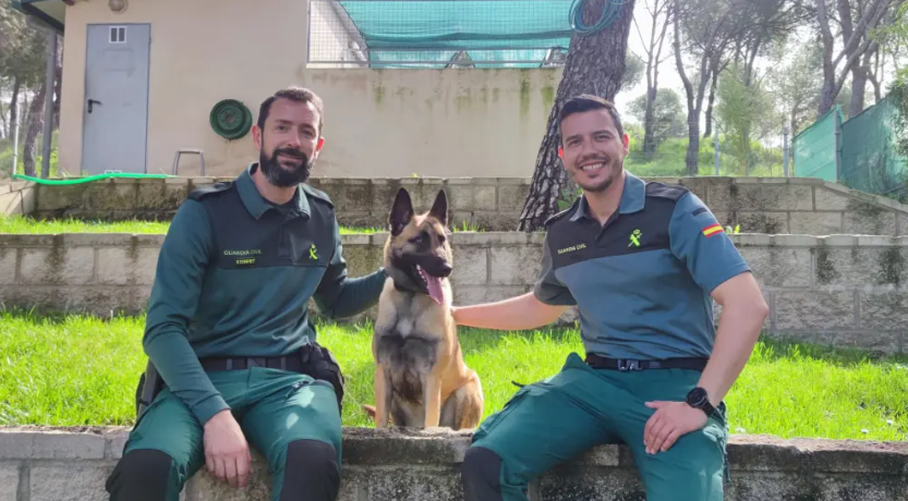 servicio cinologico guardia civil